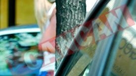 Se coafeaza gratis la salonul iubitului