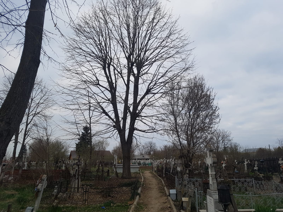 Cimitirul unde Maharu își va dormi somnul de veci