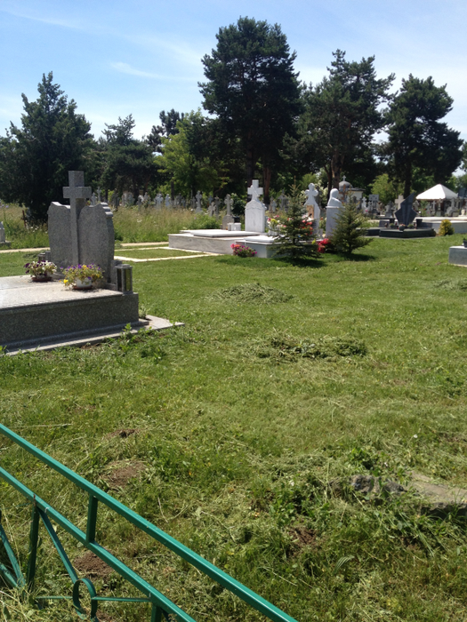 La mormântul Ilenei Ciuculete au fost plantaţi brăduţi, la două luni de la înmormântare