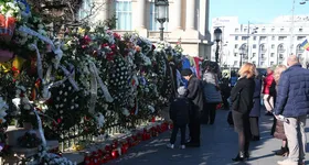 Galerie foto - poza 2