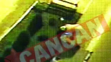 Filmat cand fura arbusti artizanali