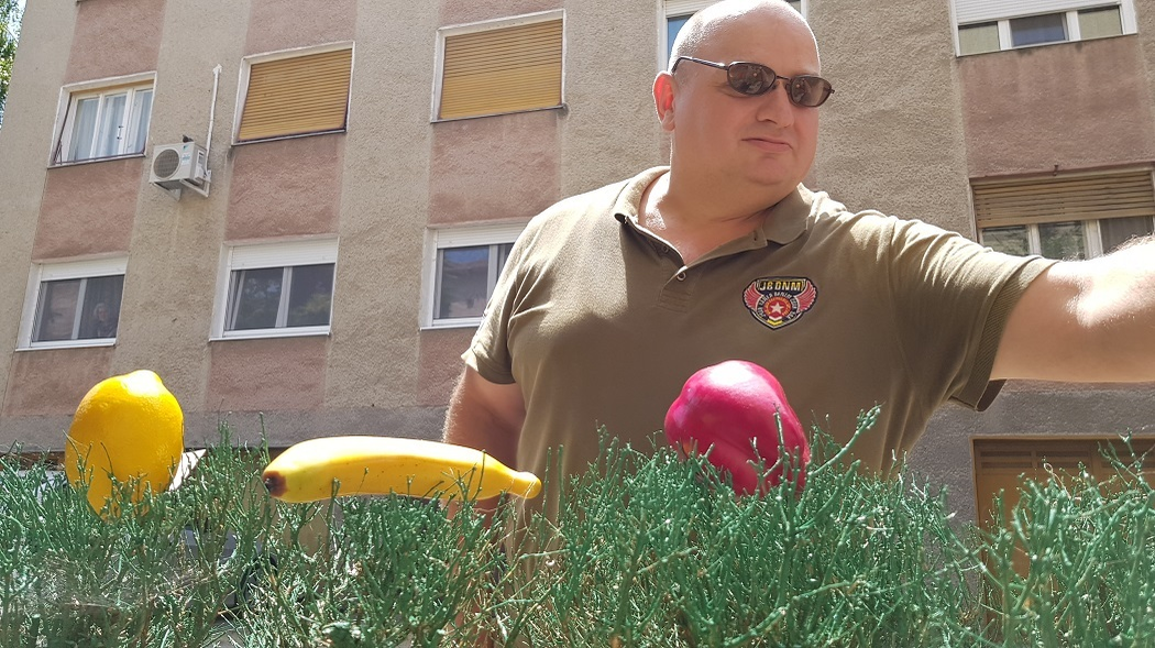 Trecătorii au "plantat" fructe în gardul vopsit