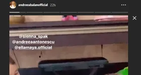 Galerie foto - poza 4