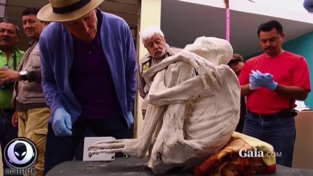 Au găsit mai multe cadavre ciudate şi au cerut părerea experţilor. S-au făcut câteva teste, iar rezultatele au fost şocante. Ce descoperiseră de fapt