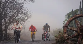 Galerie foto - poza 4