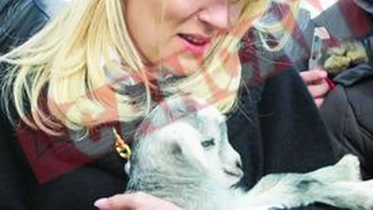 Elena Udrea, fortata sa uite de dieta