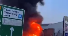 Galerie foto - poza 3