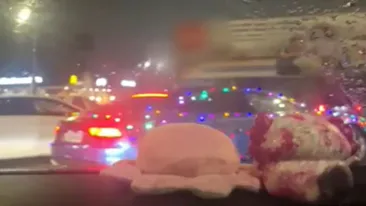 Un șofer din Argeș și-a împodobit mașina, dar a luat mare ”țeapă”! Ce i-au făcut polițiștii când l-au văzut