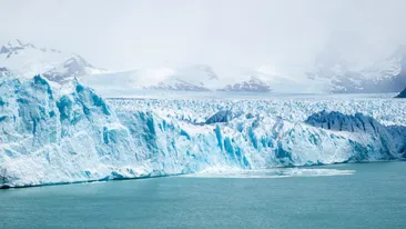 Creaturile care trăiesc și 11.000 de ani. Sunt foarte bizare și locuiesc în Antarctica