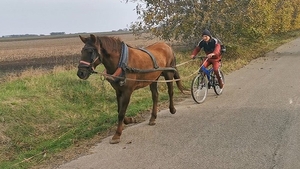 Bicicleta trasă de cal, inaugurată în Vaslui! Imagini de senzație VIDEO