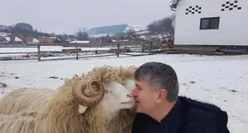 Galerie foto - poza 2