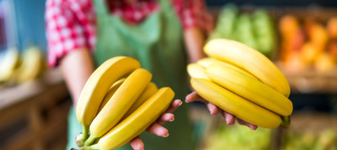 Bananele care nu se mai înnegresc după ce sunt tăiate, așteptate în magazine