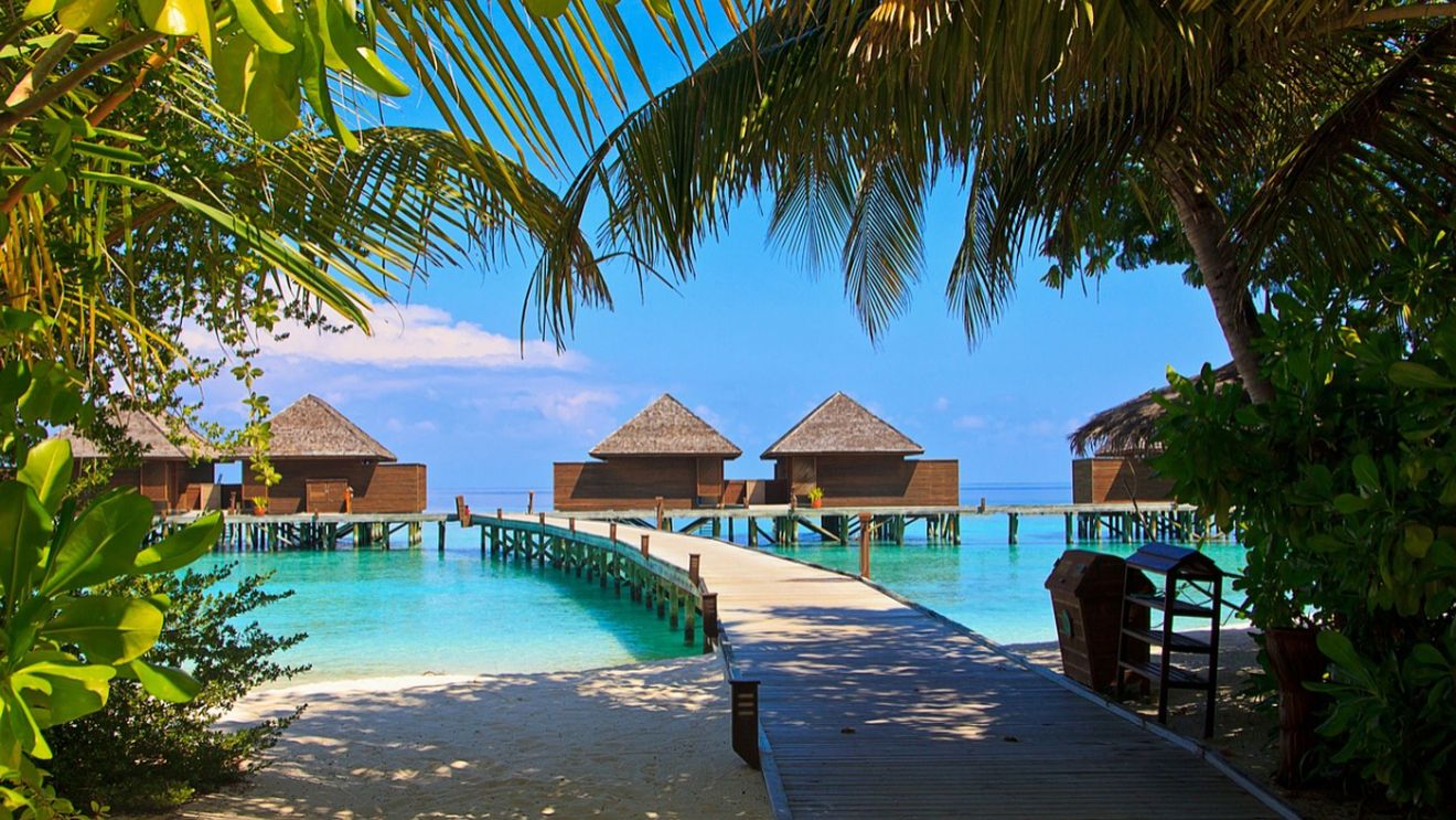 Vedeta din România care NU merge în vacanțe: „Mă plictisesc. O singură dată am încercat”