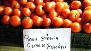 Anunț viral în piață. Cu câți lei se vinde 1 kilogram de "roșii Spania culese de români"