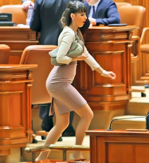 Cătălina Ştefănescu pe vremea când era deputat