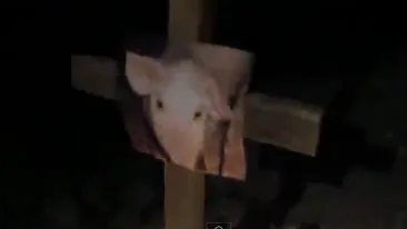 Gestul care ar putea declansa JIHADUL! Ce au putut sa ingroape doi rusi in fundatia unei moschei: Este satanic si profan