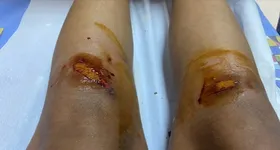 Galerie foto - poza 1