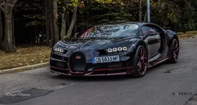 Galerie foto - poza 2