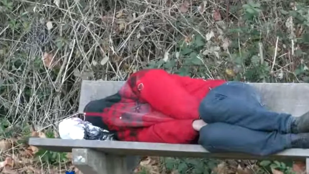 Muncitor român, lăsat să doarmă pe bancă în pădure de patron, în Germania: „Am sunat la poliție!”