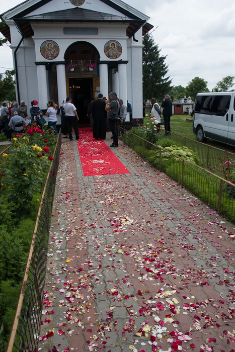 Covorul de petale de trandafir pregătit pentru epsicopul Slatinei