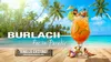 Pro TV ”reciclează” concurenții de la Insula iubirii pentru Burlacii: Foc în Paradis. Cine sunt ispitele care intră în cursă