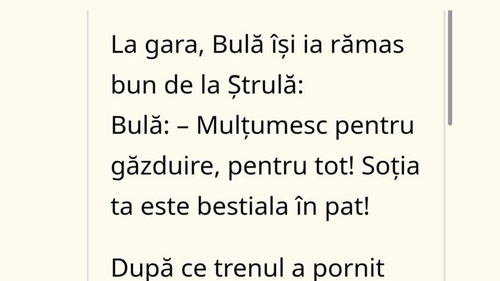 BANC | Bulă își ia rămas bun de la Ștrulă: "Mulțumesc! Soția ta e bestială în pat!"