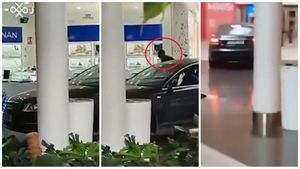 Jaf ca în filme într-un mall! Hoții au intrat cu mașina prin ușile de sticlă și în doar câteva secunde au devastat o bijuterie