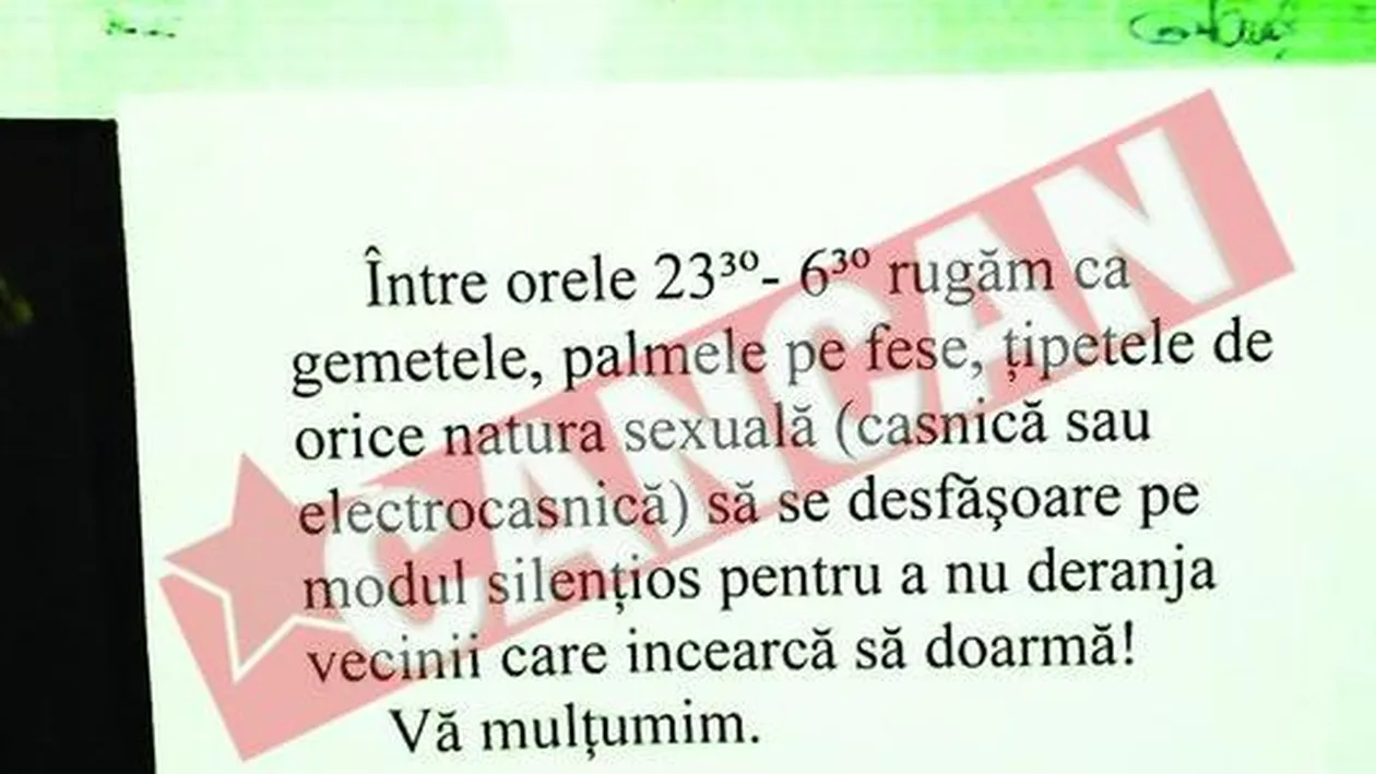Cer interzicerea sexului cu tipete la bloc