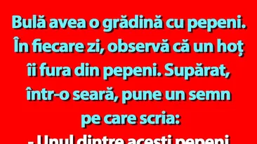 BANC | Bulă avea o grădină cu pepeni