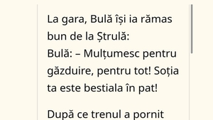 BANC | Bulă își ia rămas bun de la Ștrulă: "Mulțumesc! Soția ta e bestială în pat!"