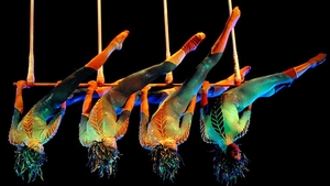 Clipe cumplite in timpul unui spectacol Cirque du Soleil. O acrobată a căzut in gol in fata spectatorilor: "Suntem distrusi"
