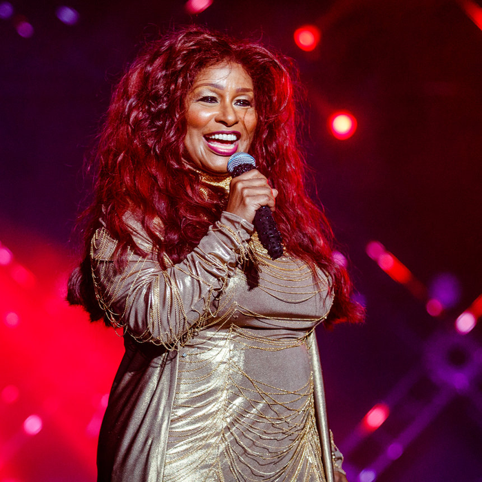 NEW ORLEANS, LA - JULY 01:  Chaka Khan performs at the 2017 Essence Festival at the Mercedes-Benz Superdome on July 1, 2017 in New Orleans, Louisiana.  (Photo by Josh Brasted/Getty Images)