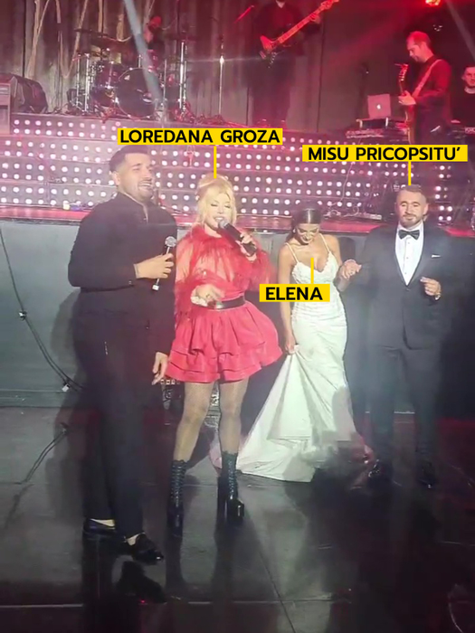 Loredana Groza a dat recital la nunta lui Mișu Pricopsitu`  (FOTO: Instagram)
