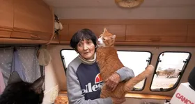 Galerie foto - poza 2