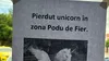 Acest anunț din Iași a devenit viral: „Pierdut unicorn în zona Podu de Fier. Dacă-l vedeți, nu vă..”