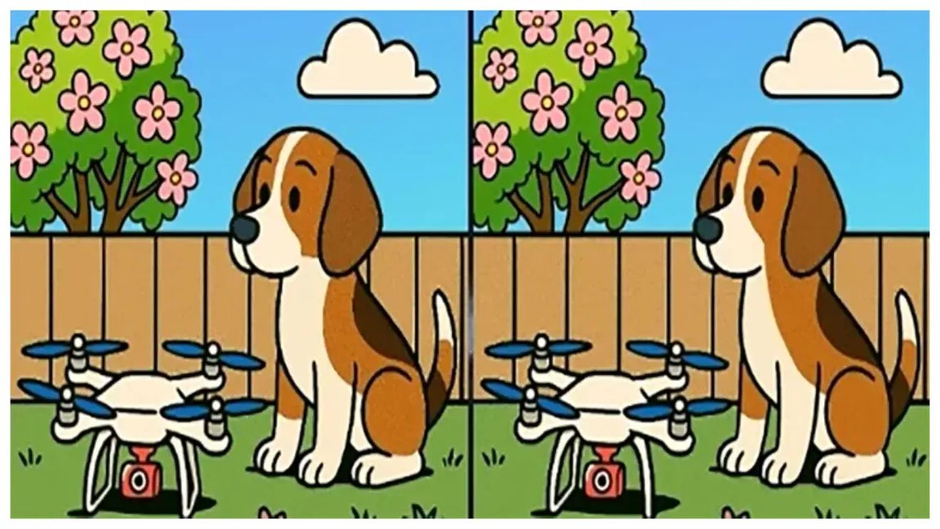 Test IQ | Doar un geniu va descoperi cele 3 diferențe din imagine, în 20 de secunde