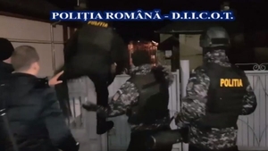 Un oltean cultiva cannabis în 29 de ghivece și vindea drogurile în Caracal. Cum l-au prins polițiștii | VIDEO