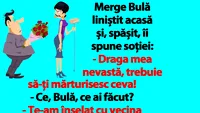 BANC | Merge Bulă liniștit acasă și, spășit, îi spune soției: Te-am înșelat cu vecina noastră, Alinuța