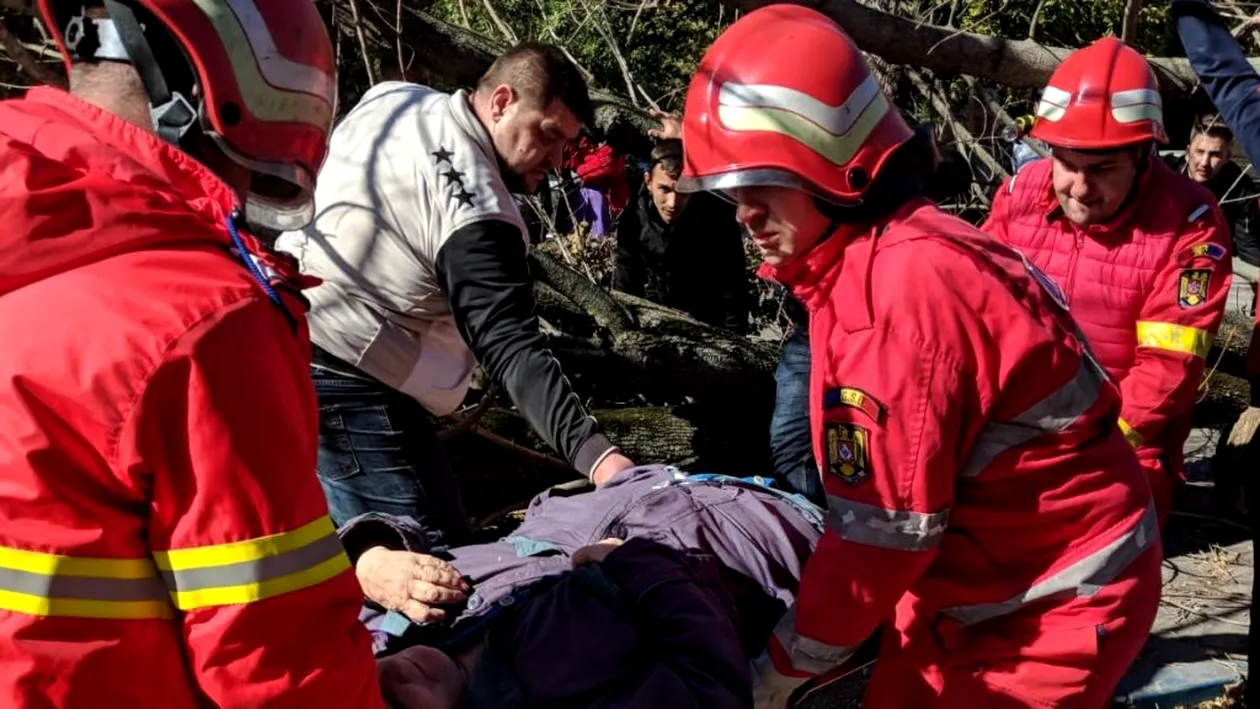 Un copac doborât de vânt s-a prăbușit peste o femeie, la Craiova. Șase județe din sudul țării se află sub cod portocaliu de vânt
