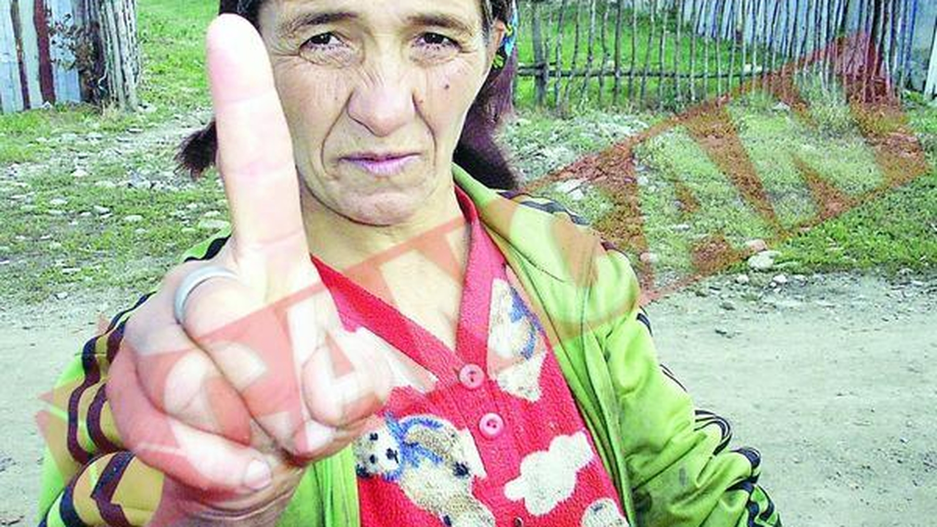 Emilia Neamtu nu e singurul martor in cazul Mailat