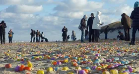 Galerie foto - poza 4