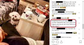 Galerie foto - poza 1