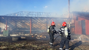 VIDEO. Incendiu violent la o fabrică de termopane din Argeș, la 10 metri de o stație GPL