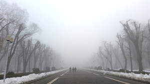 Avertizarea meteorologilor: COD GALBEN de ceaţă în şapte judeţe din ţară