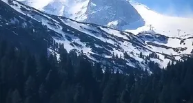 Galerie foto - poza 1