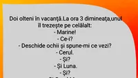 BANCUL ZILEI | Doi olteni în vacanță