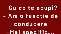 BANCUL ZILEI | Cu ce ce ocupi?