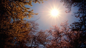Vremea se încălzește vineri. Ce temperaturi anunță meteorologii