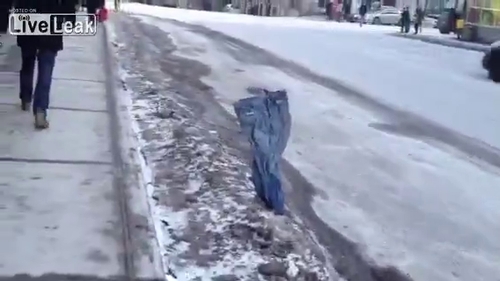 VIDEO "Nu pot să cred că am văzut asta!" Ce a surprins un canadian pe camera de luat vederi a făcut înconjurul lumii!