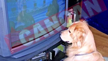 Liber la moguli pe piata TV?